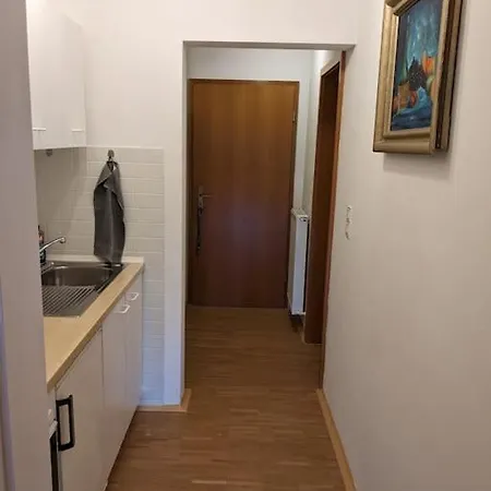 Ulmenzweig *